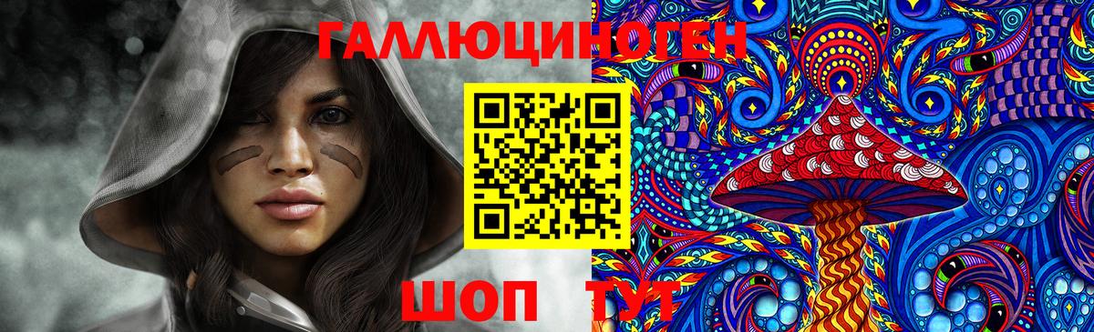 Галлюциногенные грибы Psilocybine cubensis  Вход с VPN  Новоалтайск 